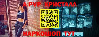 спиды Гагарин