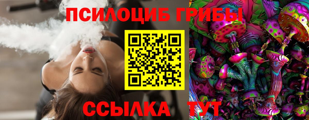 Псилоцибиновые грибы Psilocybine cubensis  Вход с VPN  Лабытнанги 